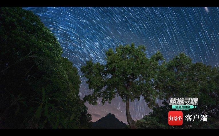 小鸟快跑