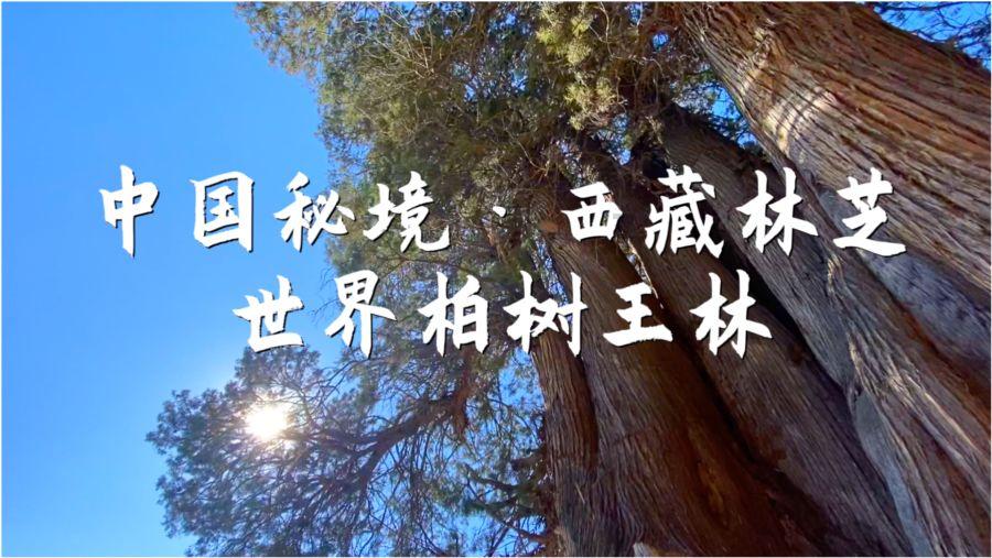 逃离违建房屋8