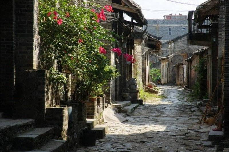 胡歌刘涛陈龙《一路前行》收官,在实践中学习环保知识