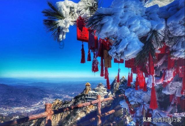 寻找遗失的手提包